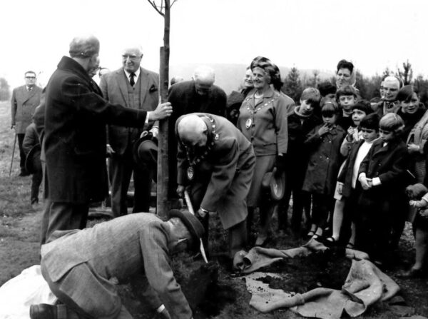 Planting the lime sapling donated by H.M. The Queen on the Chippendale Ride, Otley Chevin, 1968.